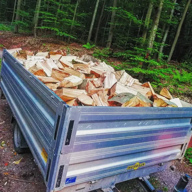 Anhänger von oben, gefüllt mit frisch gespaltener Buche