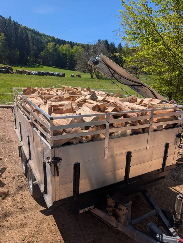 Anhänger voll frisch gespaltenem hellem Brennholz