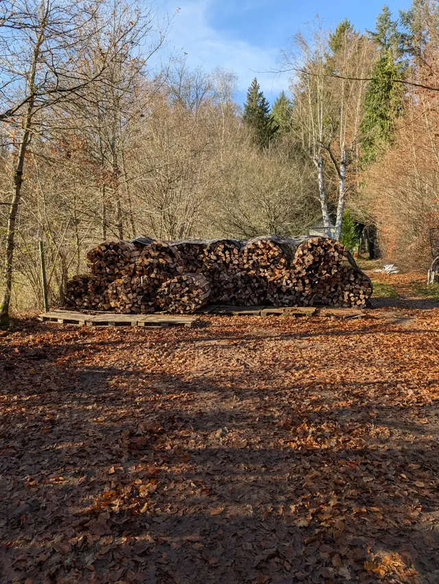 Gebündeltes Brennholz auf Paletten am Rand des Platzes