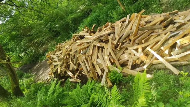 Frisch gespaltenes helles Hartholz am Rand des Platzes