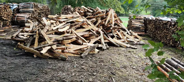 Großer Haufen frisch gespaltenen Hartholzes, dahinter Reihen gebündelter Ware