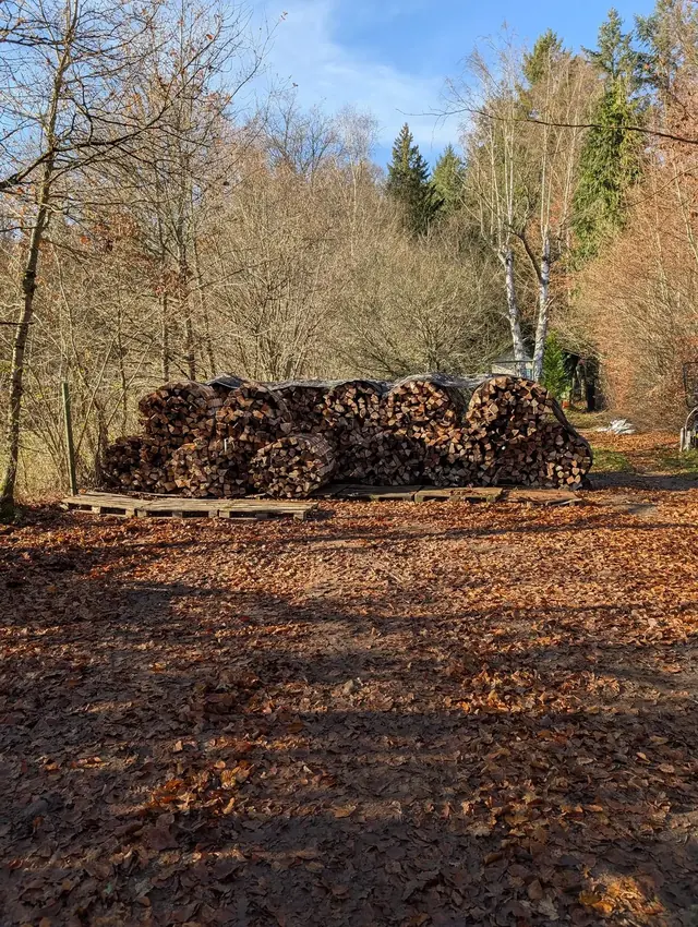 Auf Paletten gestapeltes Holz, mit Plane gegen Regen abgedeckt