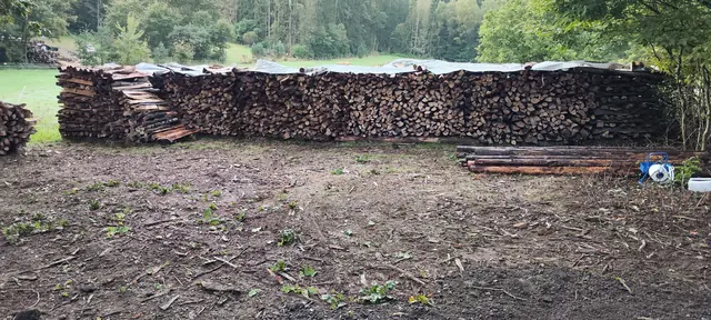 Lange Wand aus gestapeltem Brennholz, oben zum Trocknen abgedeckt