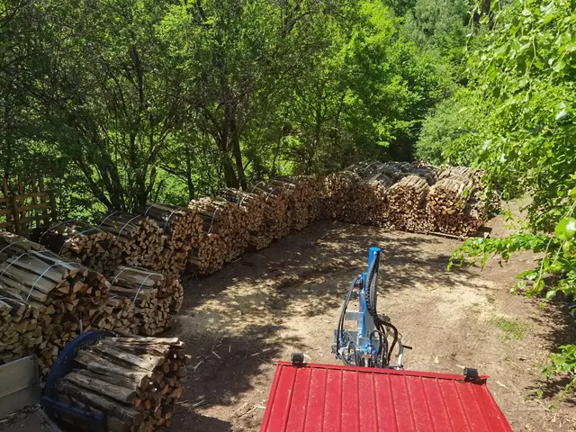 Blick über den Holzplatz: Reihen gebündelten Holzes, Spalter und Anhänger