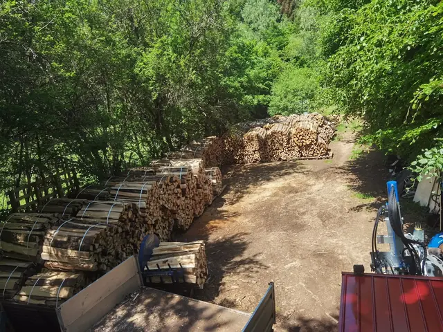 Der Holzplatz am Waldweg mit langen Reihen gebündelten Brennholzes